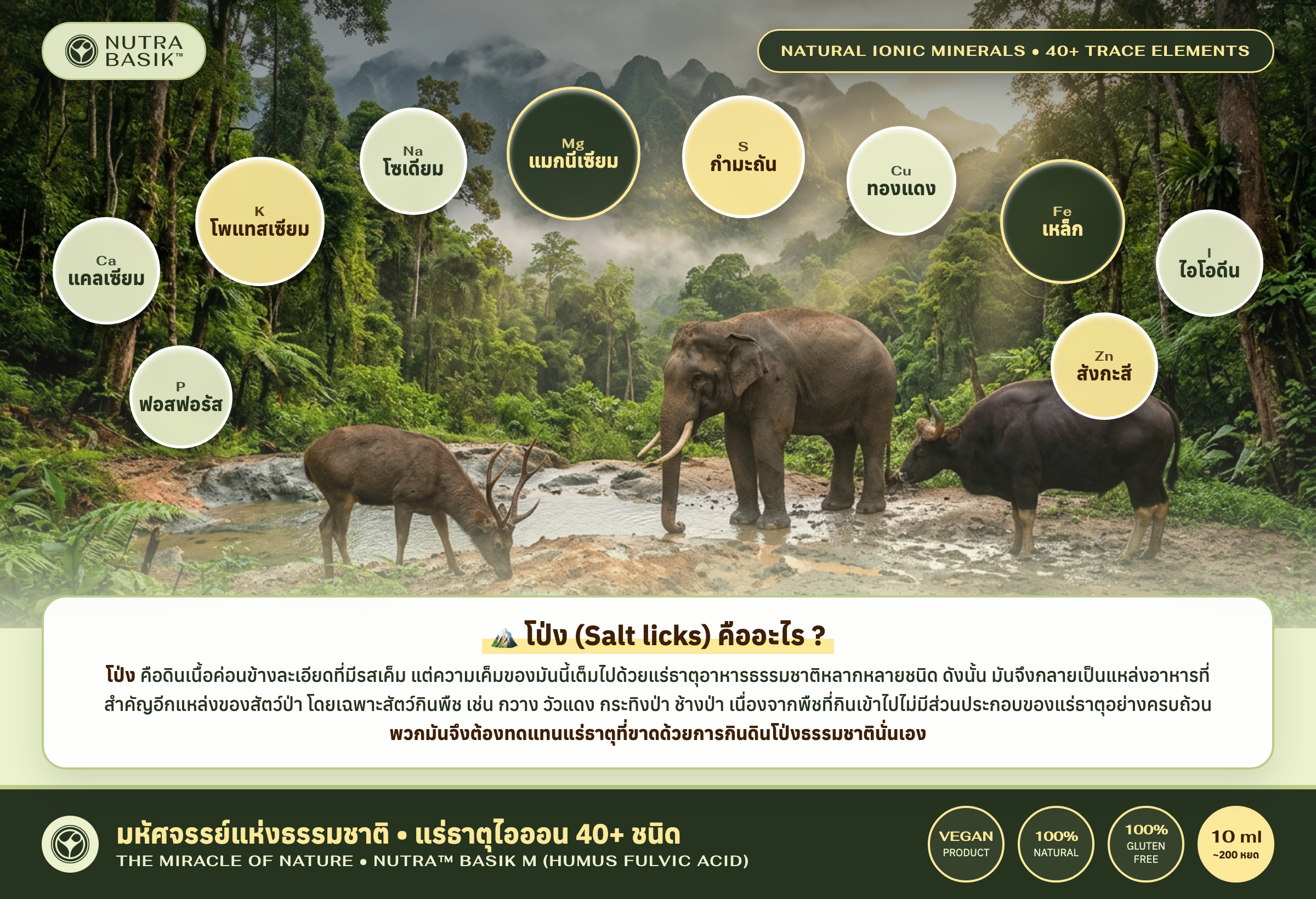 โป่ง Salt Licks มหัศจรรย์แห่งธรรมชาติ แร่ธาตุไอออน 40+ ชนิด NUTRA BASIK CI